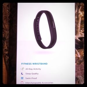 Fitbit Flex 2